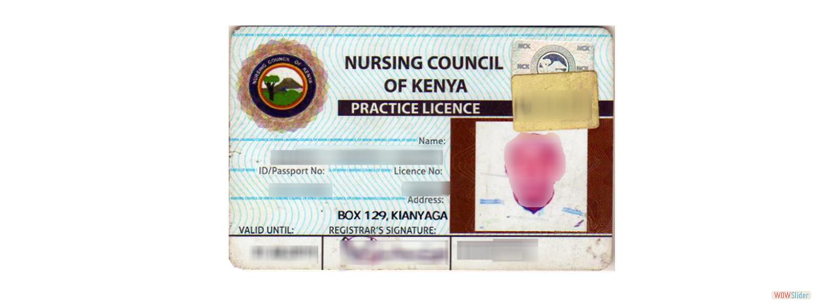 Practice Licence